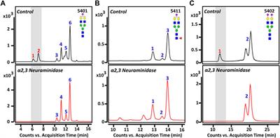 Isomer-Specific Monitoring of Sialylated N-Glycans Reveals Association of α2,3-Linked Sialic Acid Epitope With Behcet’s Disease